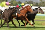 Distance The Only Query For Star Fashion In Queensland Oaks