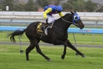 Hioctdane to run out distance in South Australian Derby
