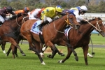 Punt Paying off with Brisbane Cup Hope Midsummer Sun