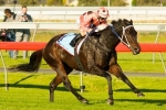 Power Princess Heading East For Melbourne Festival Of Racing