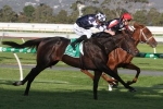 Cox Plate favourite Russian Camelot wins Underwood Stakes