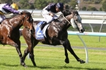 Price Happy With Moonovermanhattan Ahead Of Caulfield Guineas