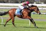 Caulfield Guineas The Spring Goal For Prince Of Brooklyn