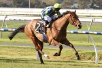 Abu Dhabi On Trial For Spring In The Flemington Family Handicap