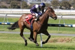 Adelaide Group 1 Races Help Viddora Climb The Everest