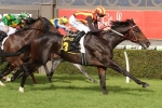 Railway Stakes casualty Scales Of Justice aiming for Kingston Town Classic