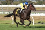 Rageese will improve with Festival Stakes run