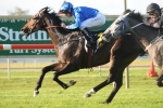 Sweynesse keeps unbeaten record intact with win in Spring Stakes