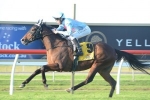 Sydney Cup On The Agenda For Disclaimer