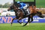 Tessera In Golden Slipper Picture After Canonbury Stakes Win
