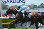Woodbine late scratching from Royal Randwick Guineas