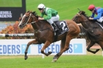 Ygritte to return to Sydney after Thoroughbred Breeders Stakes