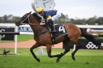 Caulfield Cup favourite Master Of Wine trials at Rosehill