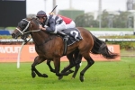 Red Tracer takes out Millie Fox Stakes in tight finish
