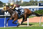 Tavago Too Good in Sky High Stakes