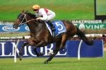 Messene A Confirmed Missile Stakes Starter