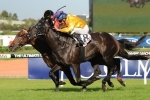 Ranvet Stakes In Right Distance Range For Silent Achiever