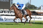 McDonald makes it five wins with Hauraki in Tulloch Stakes