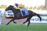 Doncaster Mile for Pornichet after Neville Sellwood Stakes win