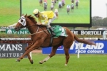 Hong Kong Cup Likely For Criterion