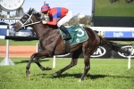 Turnbull Stakes winner Verry Elleegant leads home a Waller trifecta