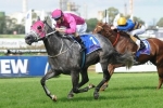 Rosehill track rated Good 3 for Golden Pendant Day
