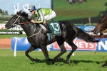 Turnbull Stakes A Nice Race For Lucia Valentina