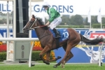 ATC To Place More Focus On Golden Slipper Day In 2015