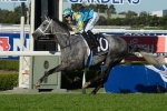 Waller Bullish About Silverball In Kingston Town Stakes