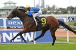 Queen Elizabeth Stakes The Spring Target For Pinstripe Lane