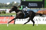 Drago Set For Extensive Group 1 Campaign
