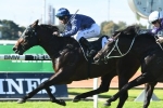 Siege Of Quebec can give Tulloch Lodge back to back wins in Rosebud
