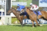 Astern New Favourite for Golden Rose Stakes