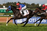 Pierro to concentrate on Sydney Autumn Carnival