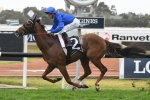 Jungle Cat can claw his way in The Everest with a win in Sir Rupert Clarke Stakes