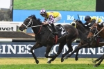 Waller can’t split his 3 Golden Rose Stakes runners