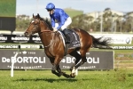Rain will put a dampener on Astern’s return in T J Smith Stakes