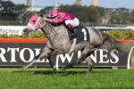 Catkins Comfortably Wins Sheraco Stakes
