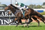Cluster heads to Caulfield for Sir Rupert Clarke Stakes