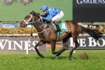 Cox Plate Contenders To Gallop At Moonee Valley