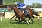 Impending early favourite for Caulfield Guineas