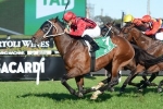 Rock Sturdy Ruled Out Of Epsom Handicap