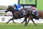 Cox Plate Still An Option For Sweynesse