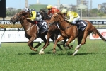 Eurozone to spell after Stan Fox Stakes win