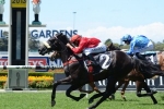 Bold Circle In Peak Condition Ahead Of Magic Millions Guineas