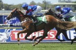 Single Gaze in great order for Champagne Classic