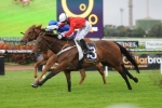 Track can help Zanbagh overcome wide barrier in Villiers Stakes