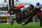 Ninth Legion Good Enough To Win Villiers Stakes