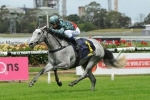 White Sage won’t surprise O’Shea with Breeders Classic win