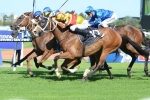15 In 2014 Villiers Stakes Field
